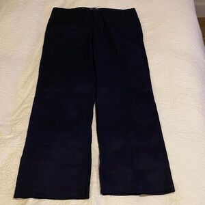 GAP Hadley Navy Wide Leg Pants Linen